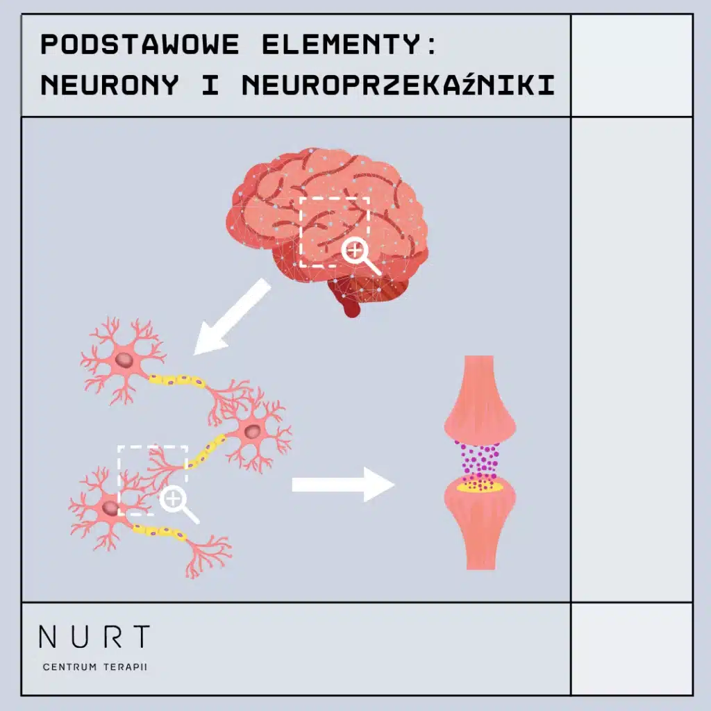 mózg aktywowany nikotyną, mózg skupienie praca, neuron aktywacja dopamina acetylocholina - Neuroprzekaźniki, czyli jak działa nasz mózg? - NURT Centrum Terapii