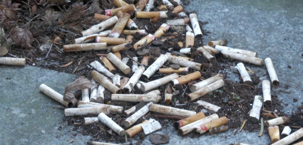 niedopałek papierosa na chodniku, śmiecenie petami środowisko, palacz wyrzucający peta - Pety zaśmiecają Wrocław, niedopałki po papierosach to wciąż duży ...