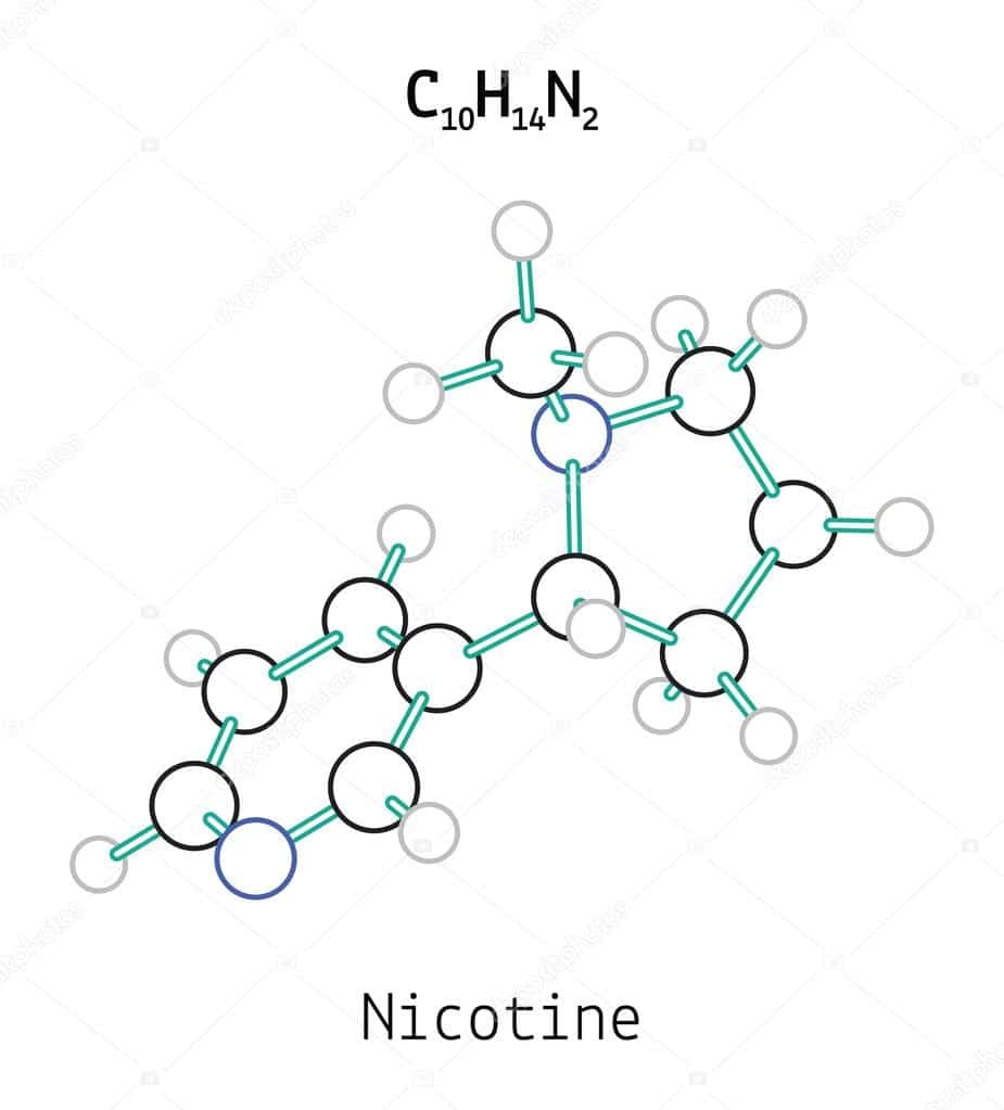 wzór chemiczny nikotyny, cząsteczka C10H14N2, struktura molekularna nikotyny 3D, chemia nikotyny - C10h14n2 nikotyny cząsteczki wektor stockowy od ©MariaShmitt 103650712