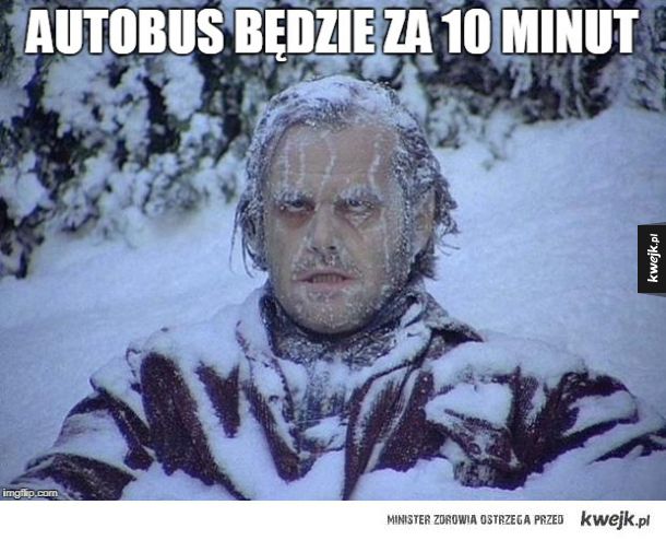 zmarznięta osoba na przystanku, polska zima miasto, czekanie na autobus mróz - Czekanie na autobus zimą. - Ministerstwo śmiesznych obrazków ...