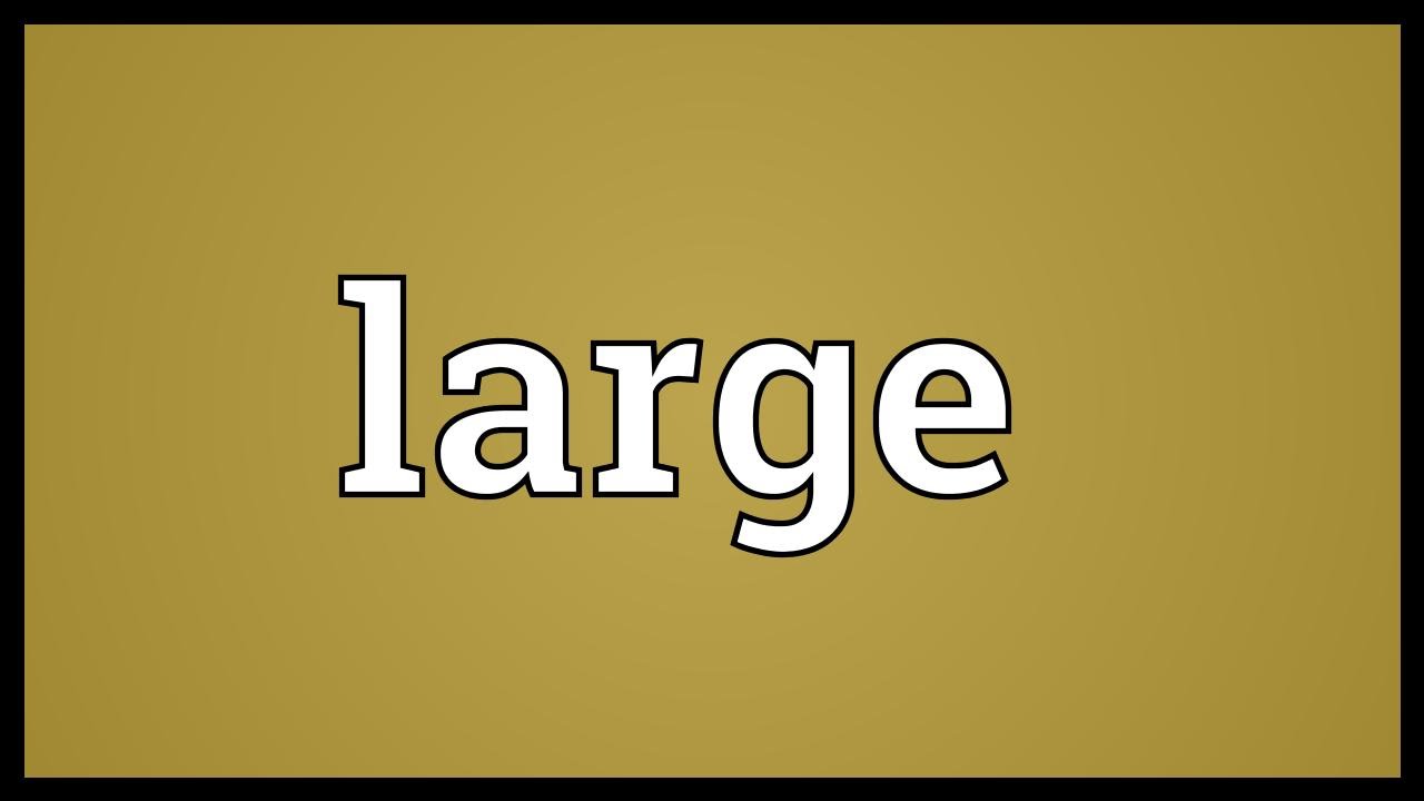 large - Large Meaning