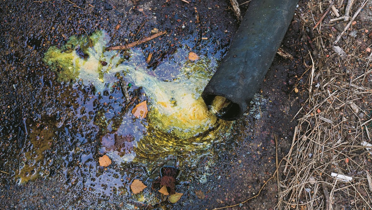 toksyczny niedopałek zanieczyszczenie wody, niedopałek chemikalia woda, zatruta woda petami - Żyją na ekologicznej bombie.