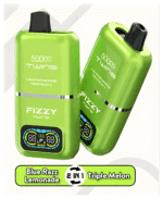 FIZZY TWINS DWUSMAKOWE 50000 PUFFS - obrazek 3