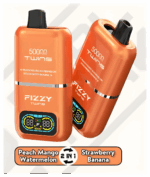 FIZZY TWINS DWUSMAKOWE 50000 PUFFS - obrazek 12