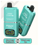 FIZZY TWINS DWUSMAKOWE 50000 PUFFS - obrazek 10