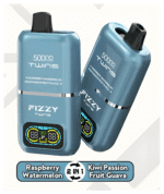 FIZZY TWINS DWUSMAKOWE 50000 PUFFS - obrazek 9