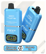 FIZZY TWINS DWUSMAKOWE 50000 PUFFS - obrazek 6