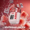 WATERMELON ICE